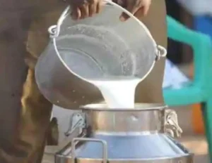 ਕਿਸਾਨਾਂ ਲਈ ਵੱਡੀ ਖ਼ਬਰ # 1 ਮਈ ਤੋਂ ਵੱਧਣਗੀਆਂ ਮਿਲਕਫੈੱਡ ਦੁੱਧ ਖਰੀਦ ਦੀਆਂ ਕੀਮਤਾਂ 